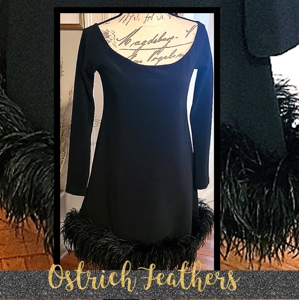 A.B.S Stunning Dressy Little Black Dress w Ostrich Feathers on Bottom hp 13x🔥🔥 - Picture 2 of 16